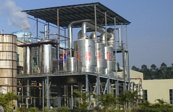 1668615181608523.jpg 1668615176037.jpg